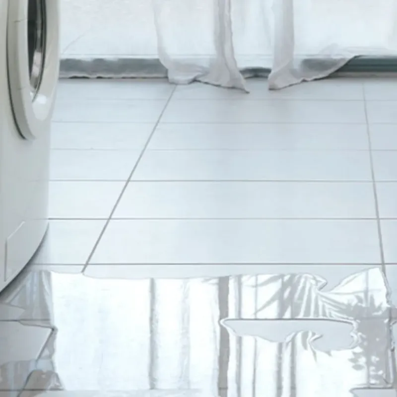 Appliance Leak Cleanup in Potterville, MI