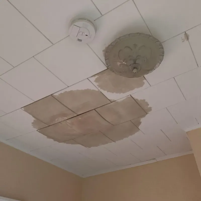 Ceiling Water Damage Repair in Potterville, MI