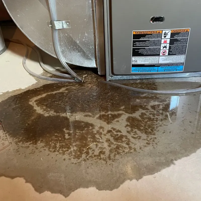 Pipe Burst and Leak Restoration in Potterville, MI