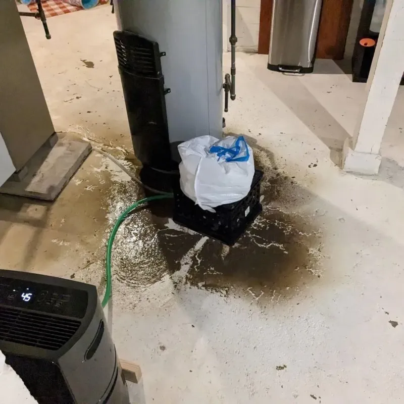Sewage Backup Cleanup Service in Potterville, MI